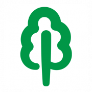 Logo 02 NICE PAILLON