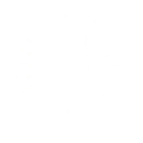 Logo 2B-ALIVE LTD