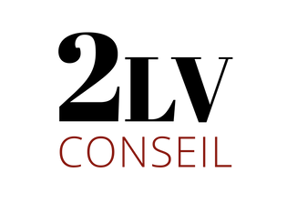 Logo 2LV CONSEIL (2LV CONSEIL)