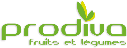 Logo 3S (PRODIVA 3S)