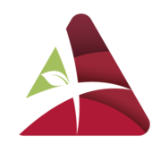 Logo A PLUS SOLUTIONS (A + SOLUTIONS)