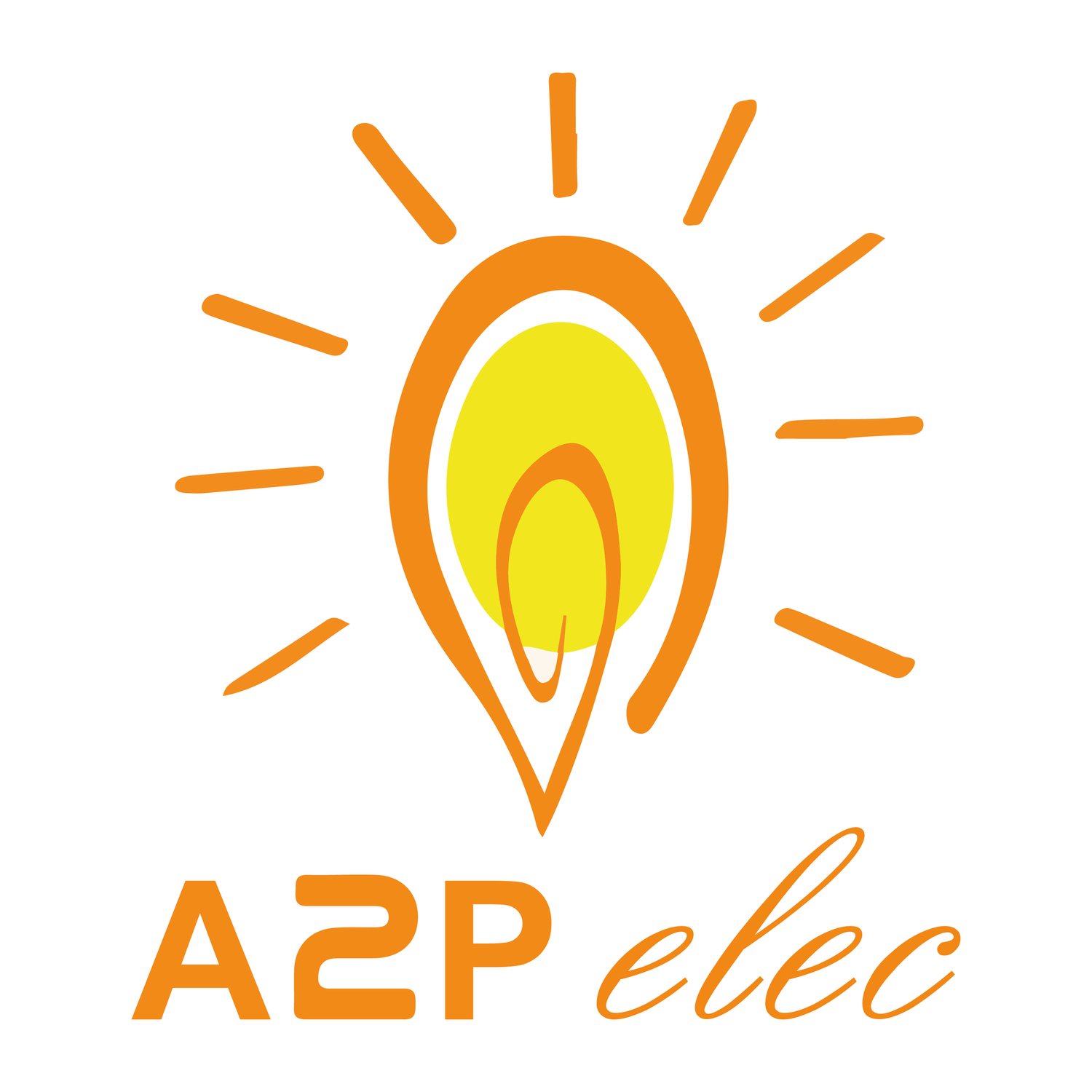 Logo A2P ELEC