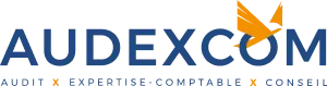 Logo ABAQUE - AUDEXCOM
