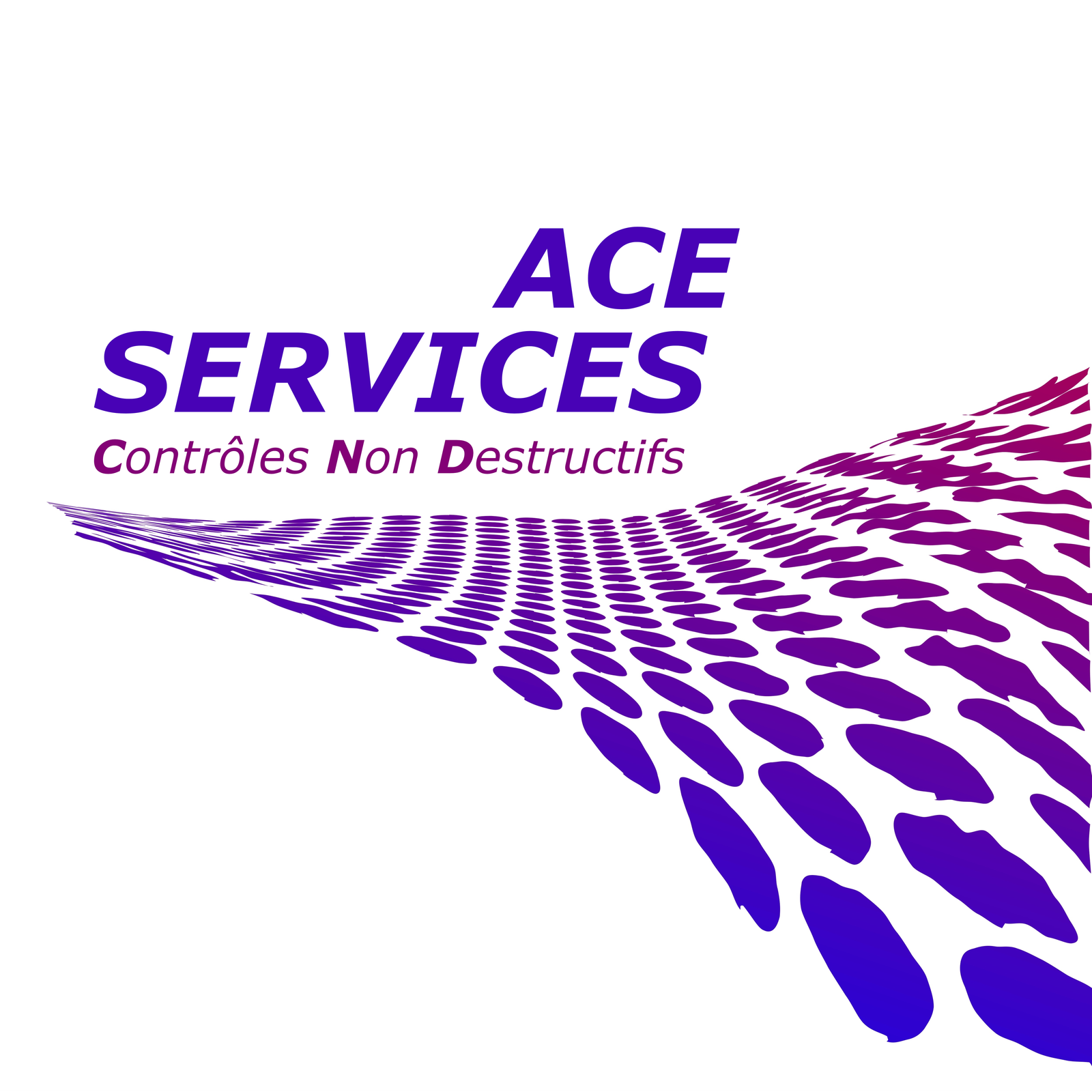 Logo ACE SERVICES