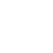 Logo ACI DU VALLESPIR
