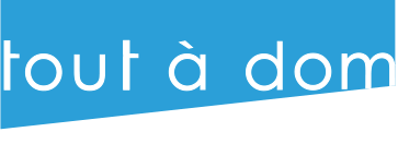 Logo ACL SERVICES 91 (TOUT A DOM SERVICES)