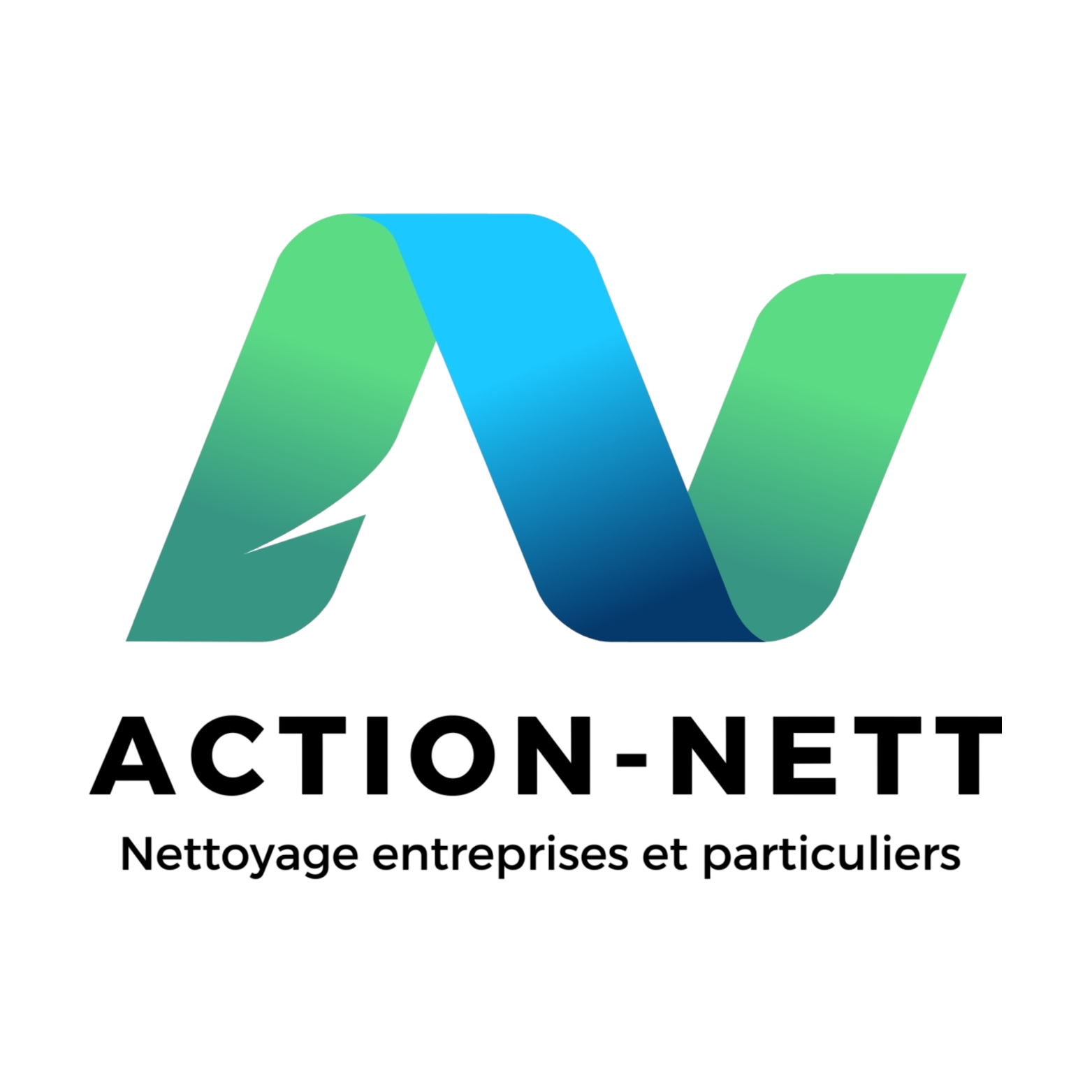 Logo ACTION - NETT