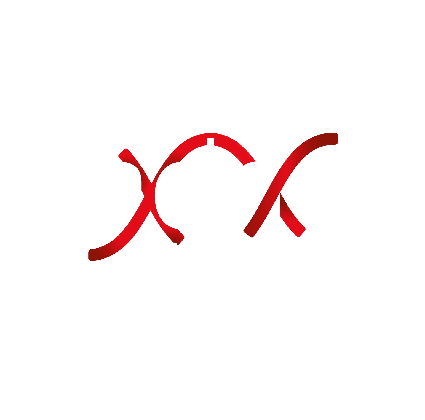 Logo ADN SYSTEMES (DIXINFOR)