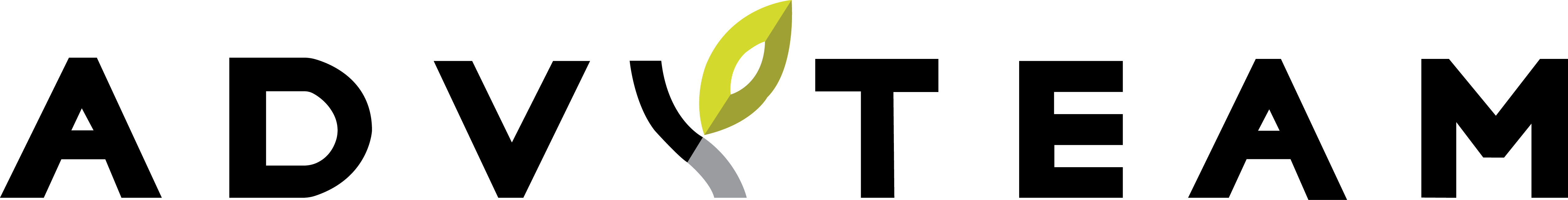 Logo ADVYTEAM CONSULTING SERVICES