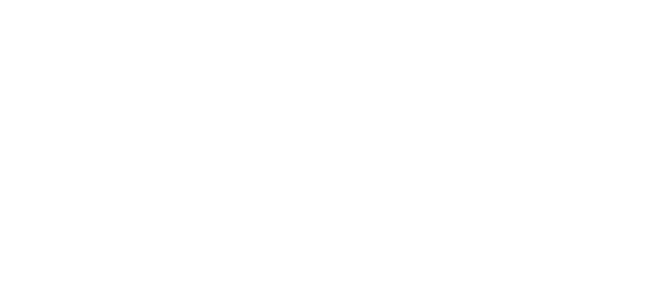 Logo AGENCE DES PYRENEES