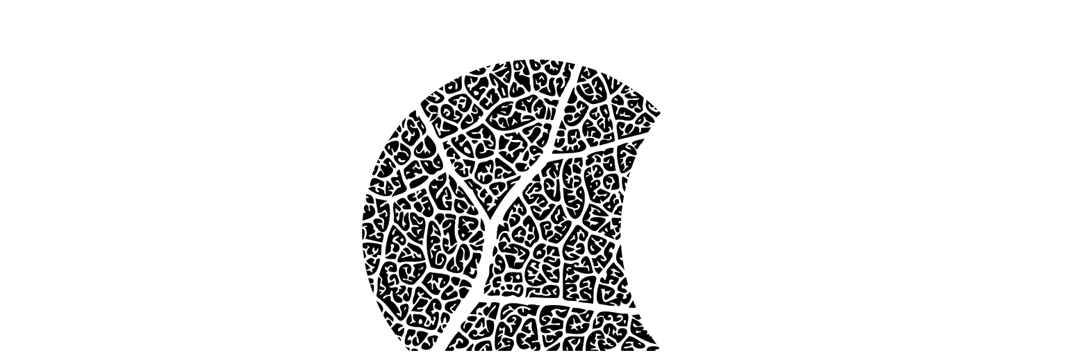 Logo AGENCE ROSSI