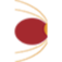 Logo AGIR POUR L'EMPLOI