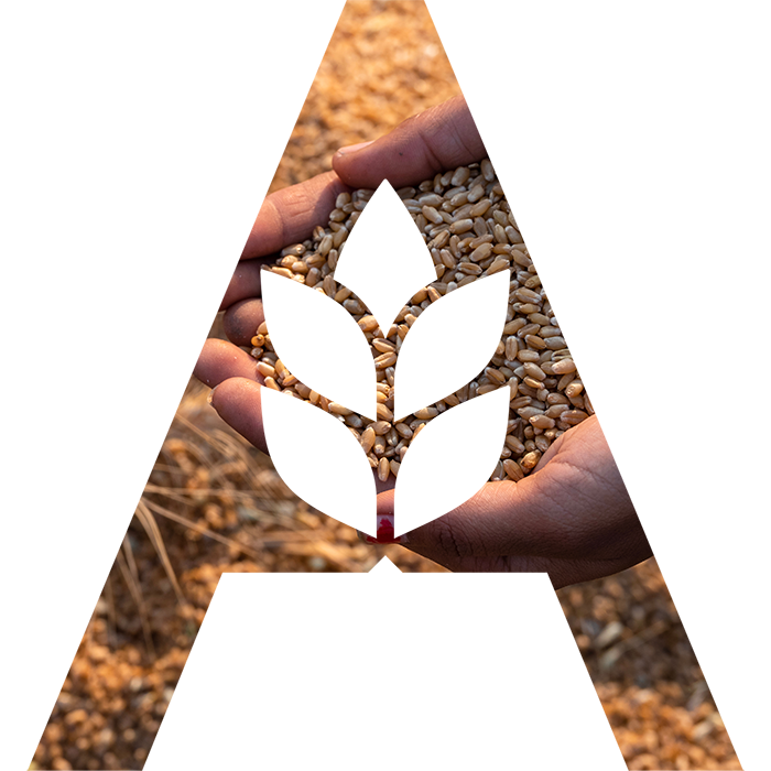 Logo AGRI.COM