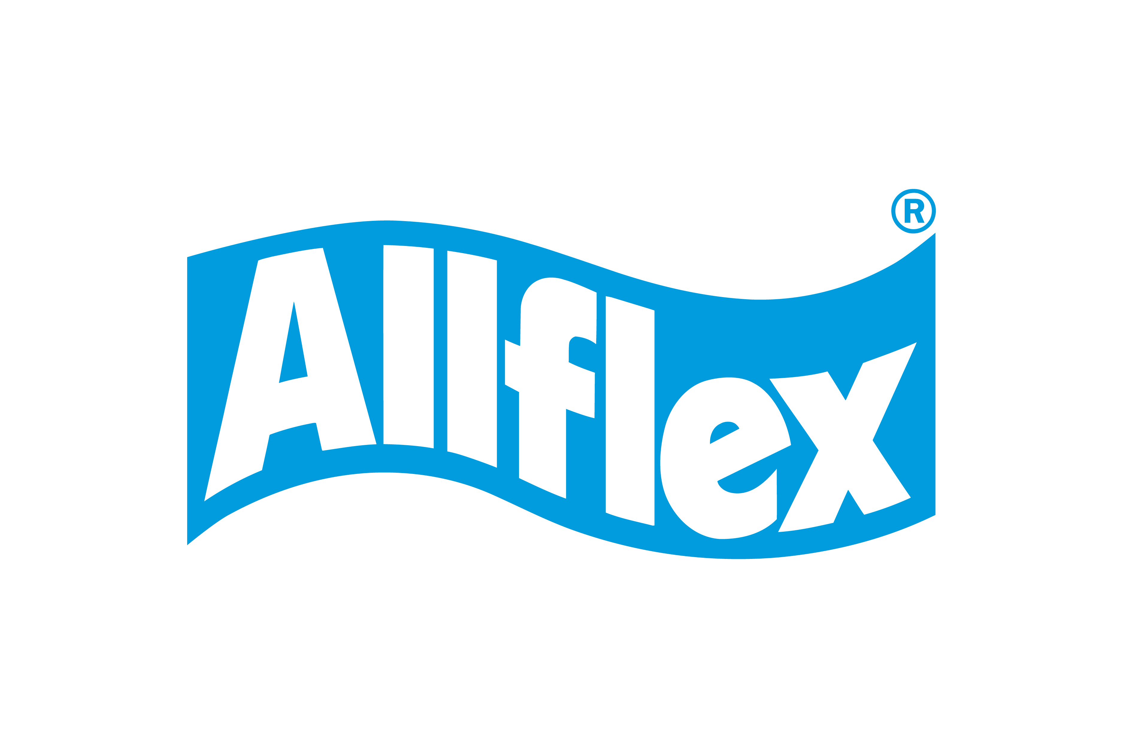 Logo ALLFLEX EUROPE