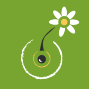 Logo ALTERRENATIVE RESTAURATION