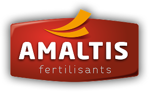 Logo AMALTIS