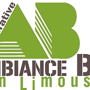 Logo AMBIANCE BOIS