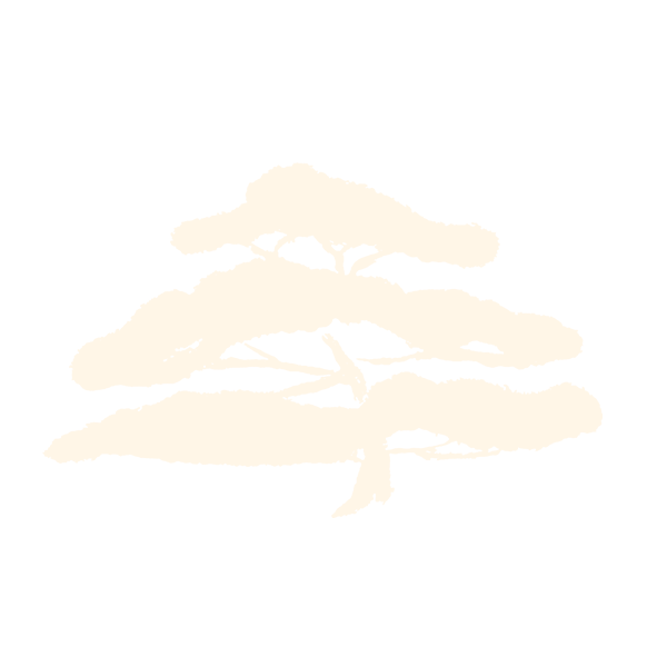 Logo AMBIANCE JARDIN