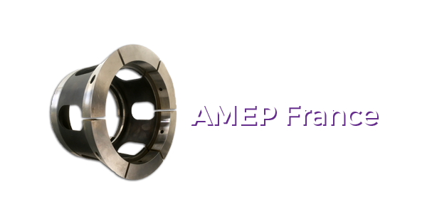 Logo AMEP