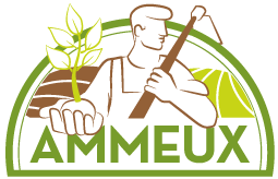 Logo AMMEUX