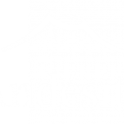 Logo ANDESITE