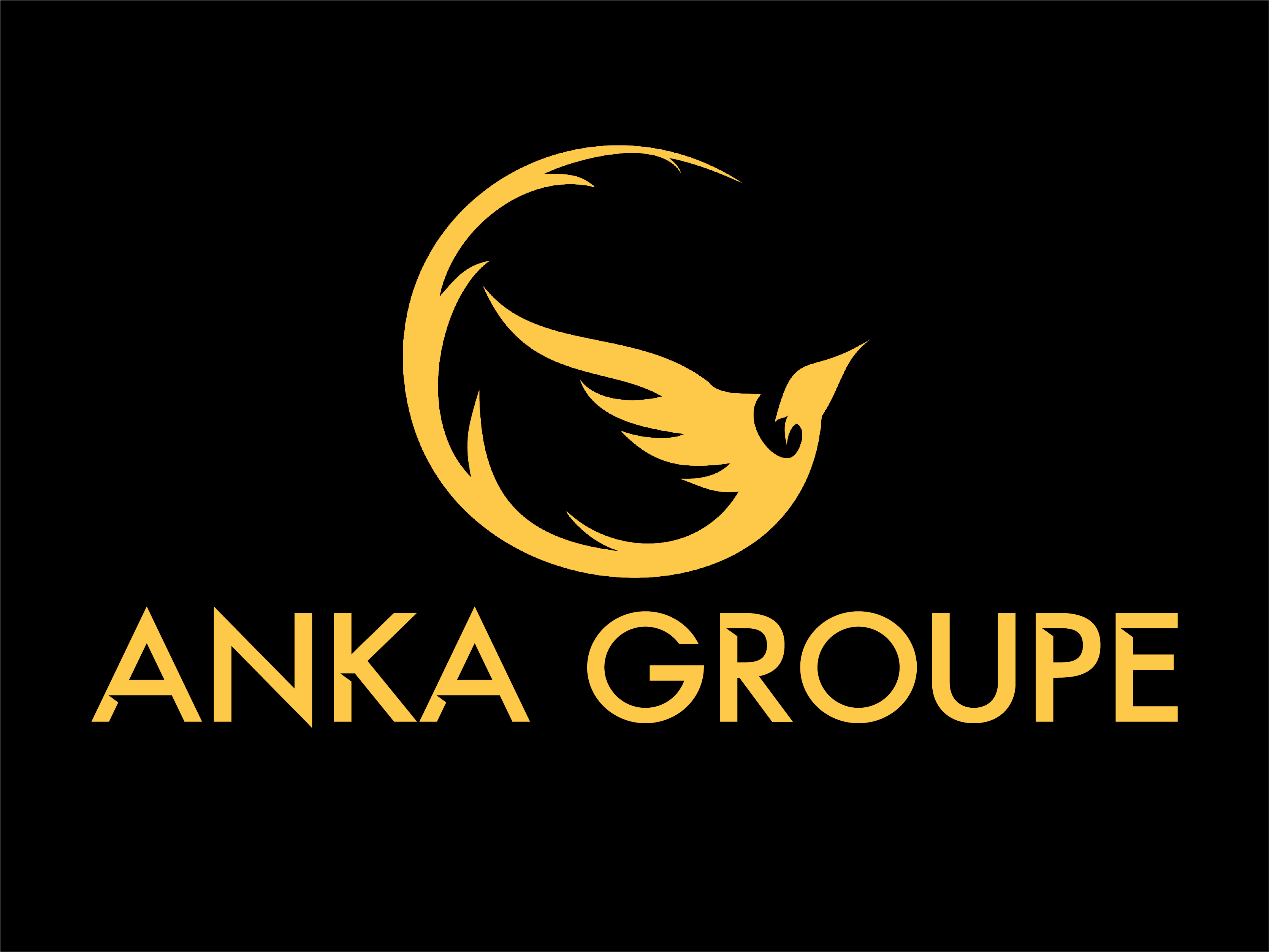 Logo ANKA GROUPE