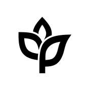 Logo ANKORSTORE