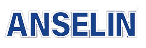 Logo ANSELIN