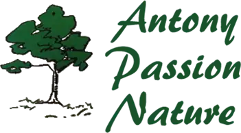 Logo ANTONY PASSION NATURE