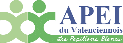 Logo APEI VALENCIENNOIS LES PAPILLONS BLANCS