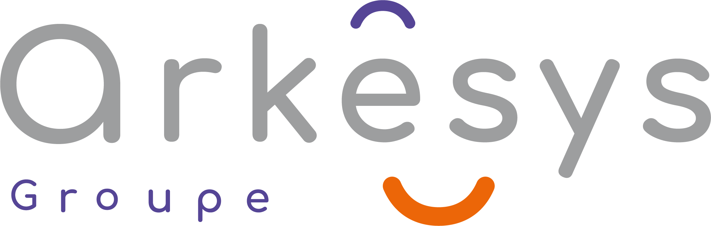 Logo ARKESYS.NET
