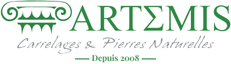 Logo ARTEMIS