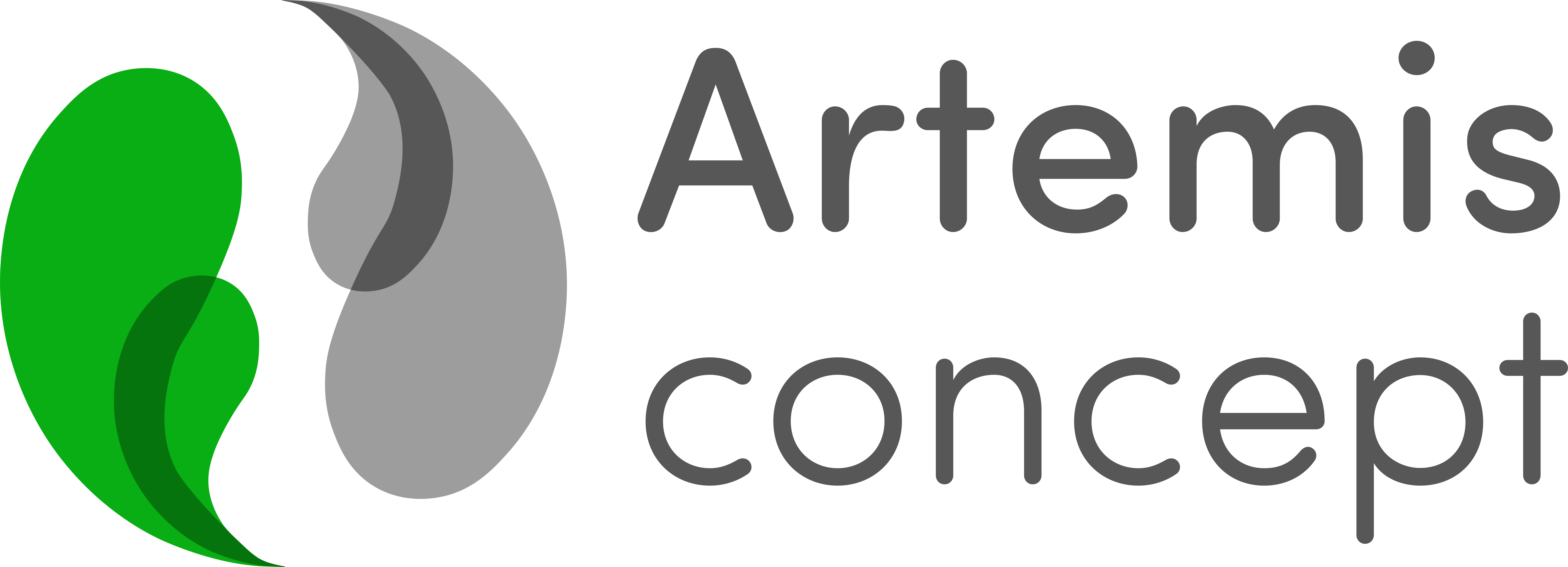Logo ARTEMIS CONCEPT (ARTEMIS CONCEPT)