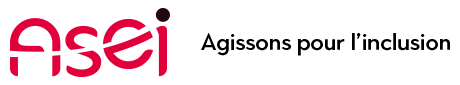 Logo ASEI APPAREILLAGE