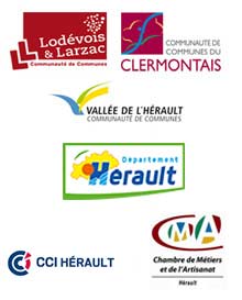 Logo ASS DEPT INFORMATION LOGT HERAULT (ADIL)