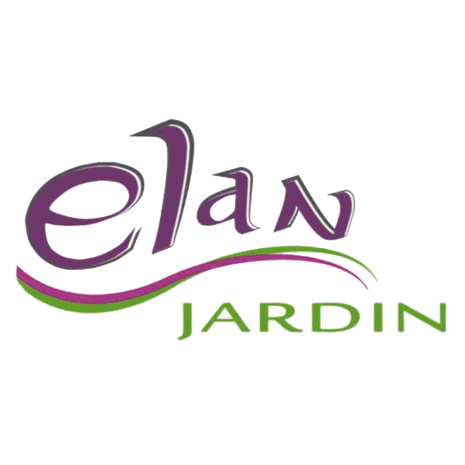 Logo ASS ELAN (MDCJ)