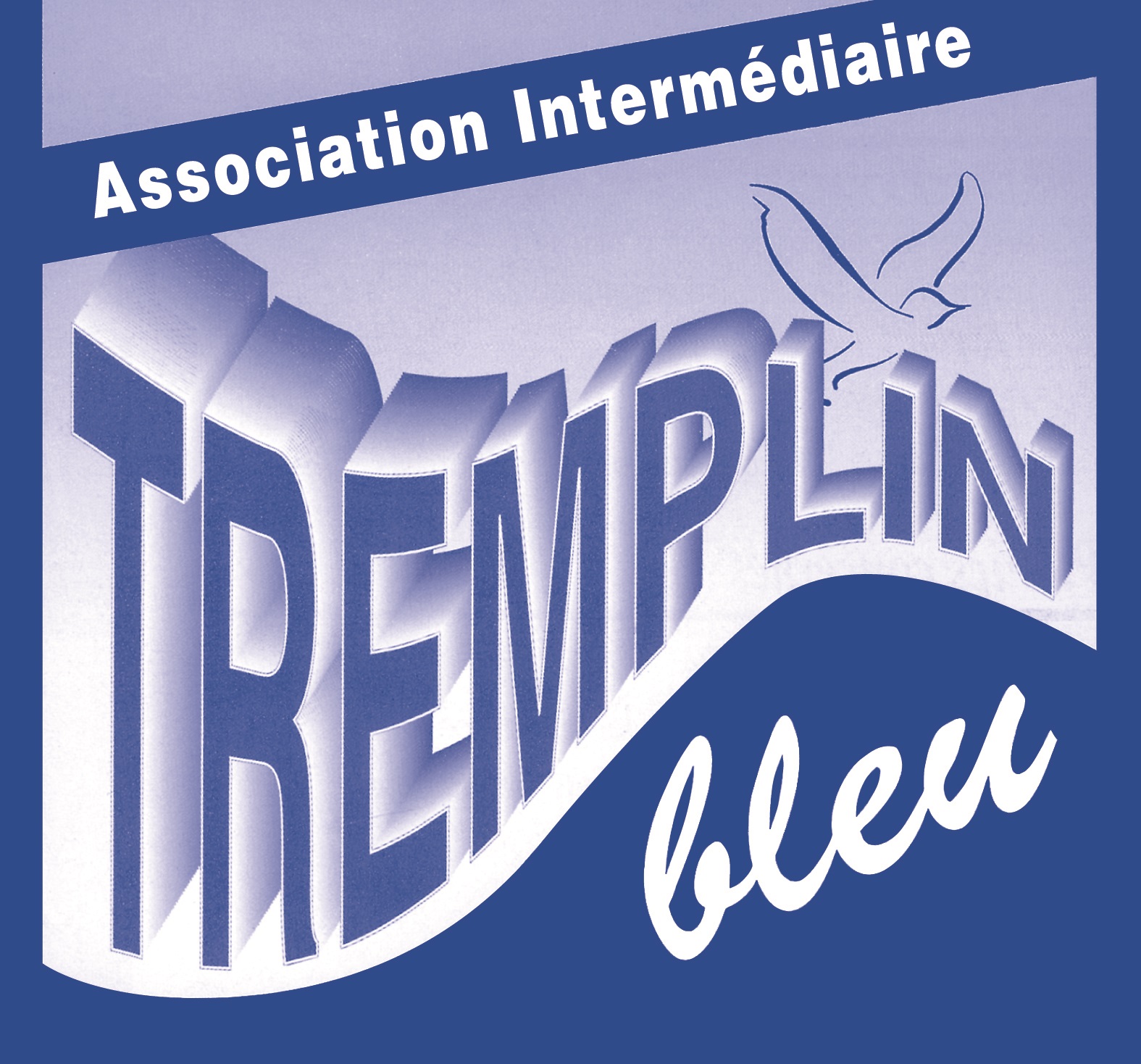 Logo ASS INTERMEDIAIRE TREMPLIN BLEU