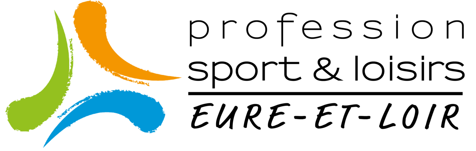 Logo ASS PROFESSION SPORT EURE ET LOIR