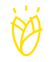 Logo ASSOCIATION DES PRODUCTEURS D ENDIVES DE FRANCE