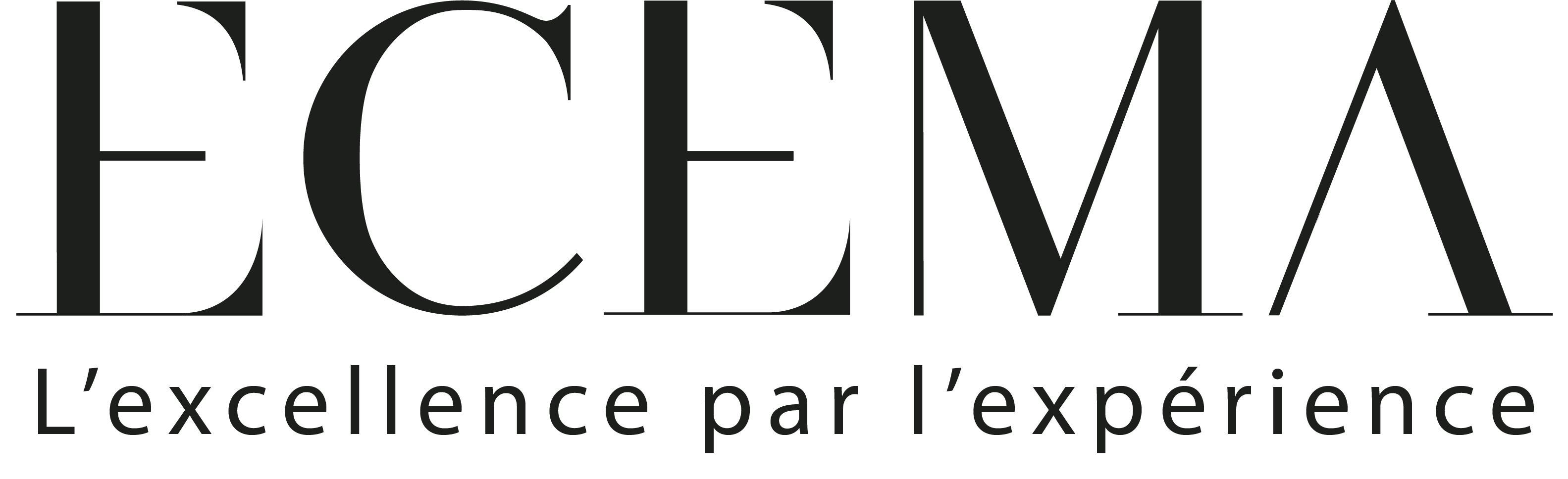 Logo ASSOCIATION ECEMA - ECOLE EUROPEENNE DE MANAGEMENT EN ALTERNANCE (ECEMA)
