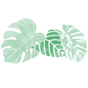 Logo ATOUT VERT