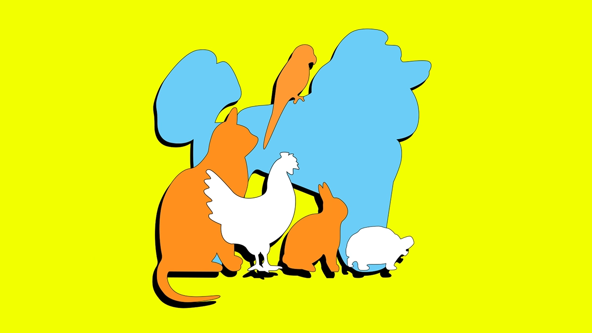 Logo AU MONDE DES ANIMAUX (AU MONDE DES ANIMAUX - ANIMAL CITY - LYF DISTRIBUTION)