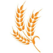 Logo AU PAIN PERDU