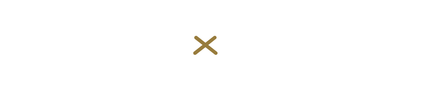 Logo AUDEXIA