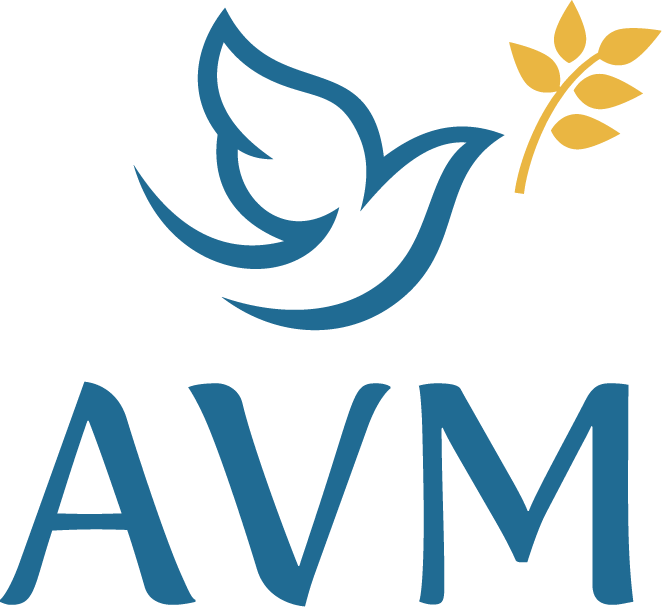 Logo AUDIO VIDEO MEDIA