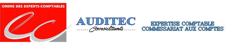 Logo AUDITEC CONSULTANTS