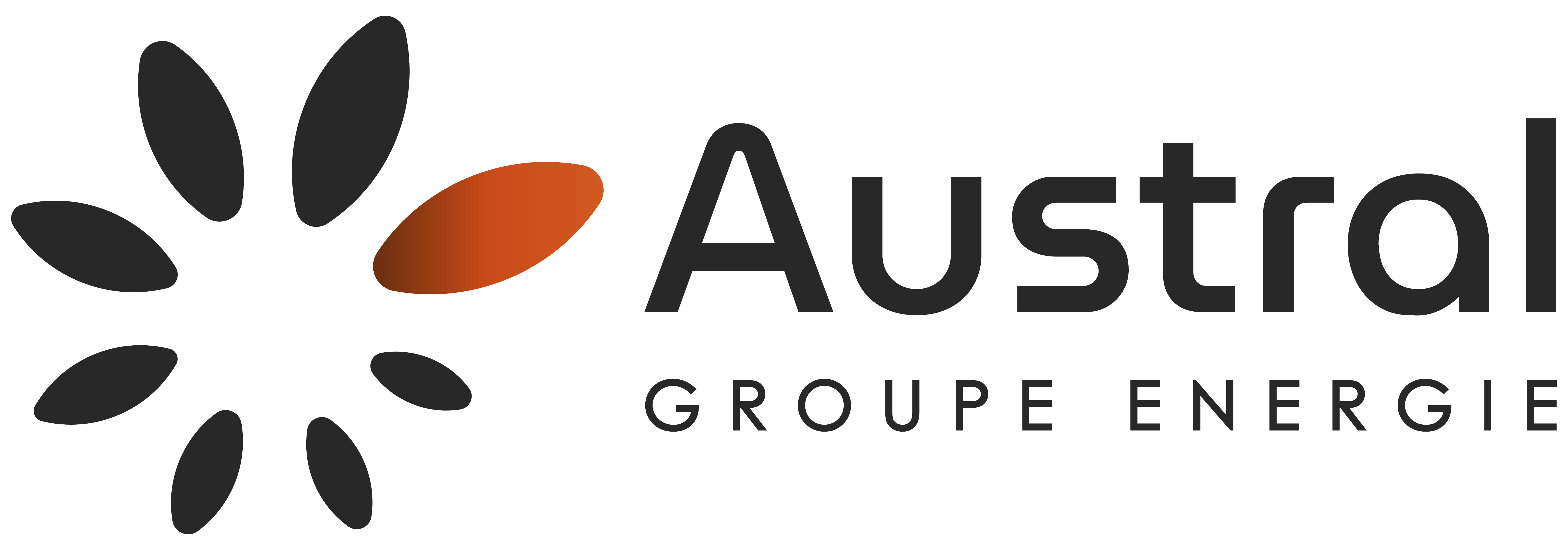 Logo AUSTRAL ENERGY MAINTENANCE