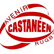 Logo AVENIR CASTANEEN