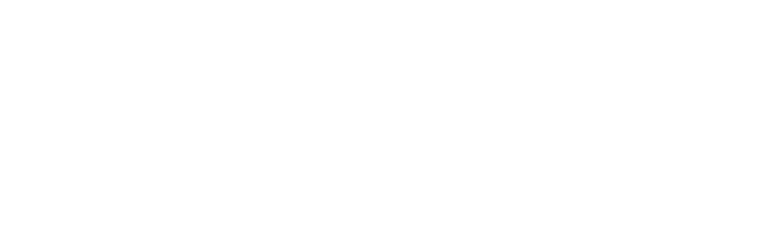 Logo AVNIR ENGINEERING