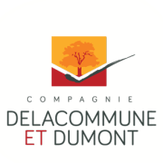 Logo AVS DUMONT